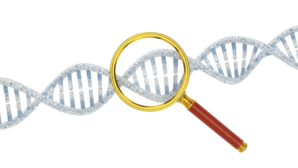 DNA strand with magnifying glass isolated PNG, genetic research and medical science concept on transparent background, molecule structure
