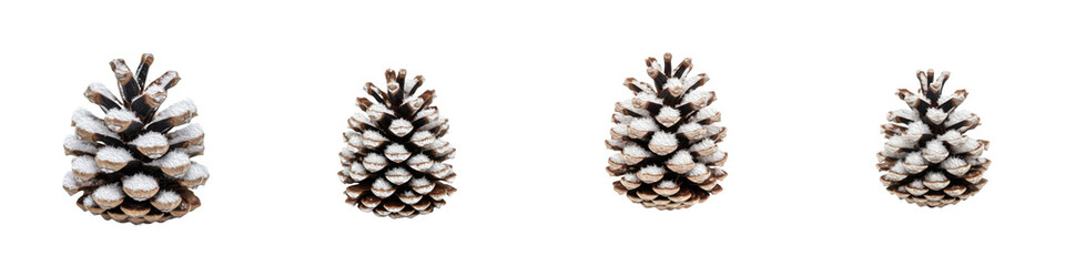 Frosted Pinecones with Winter Snow Set Isolated Christmas Decoration and Nature Evergreen Element Oil Paint White Background PNG