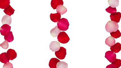 Falling rose petals seamless animation frame with pink and red flowers on transparent background