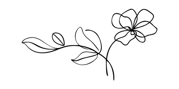 Delicate floral sketch on a black background showcasing simple line art