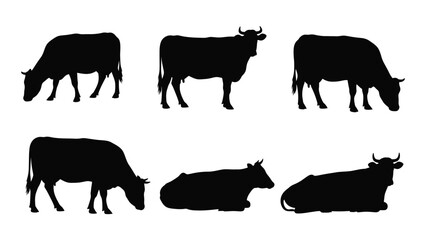 Silhouettes of grazing cows and resting cattle in a black and white style