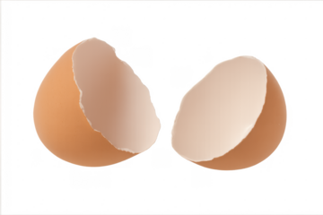 Brown eggshell halves breaking on transparent background