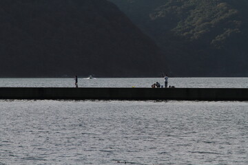 防波堤釣り