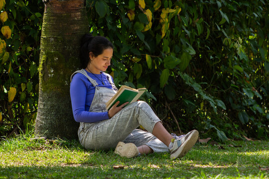 A young woman sits on the grass under a tree, reading a book in a peaceful park environment