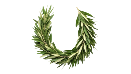 Olive branch wreath PNG isolated on transparent background, green leaves garland for decoration and design use, victory symbol