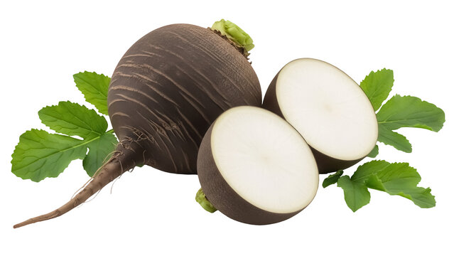 Black radish with leaves isolated PNG, whole and halved root vegetable on transparent background, healthy eating and cooking ingredient