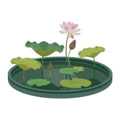 Serene Vector Illustration of Lotus Flower in Pond with Soft Pink Blooms and Green Leaves