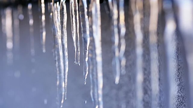 Handheld slow-motion video of icicles dripping water with selective focus in a cold winter outdoor setting
