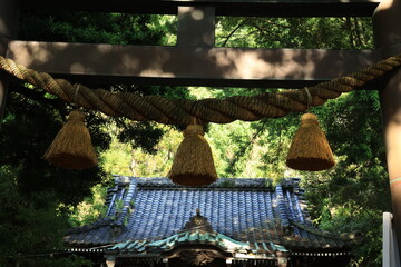 日差しが当たる神社のしめ縄と鳥居　夏