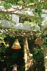 日差しが当たる神社のしめ縄と鳥居　夏