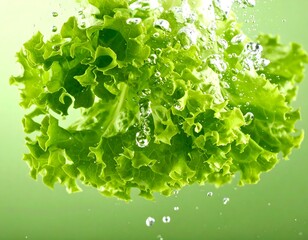 Fresh lettuce leaves with water droplets on a green background