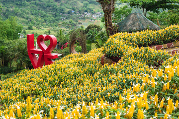 Sirao garden located at Barangay Sirao in Cebu, Philippines