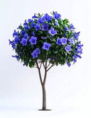 Vibrant Blue Flower Topiary Tree on White Background.