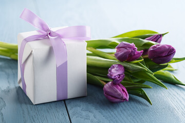 purple tulip with gift box on blue wood background
