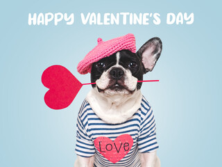 Happy Valentine's Day. Cute puppy and congratulatory inscription. Close-up, indoors. Studio shot. Congratulations for family, relatives, loved ones, friends and colleagues. Pets care concept