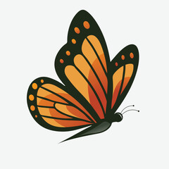  a beautiful orange and black monarch butterfly isolated on white background with detailed wings © ShahAlam