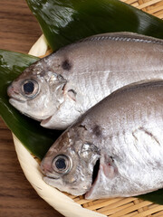 下拵えをしたイボダイ