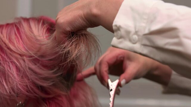 Experienced Stylist Designs Tousled Layered Pink Bob With Texturized Ends For Natural Movement. Media