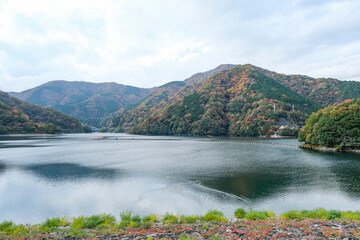 木々の紅葉が進む丹沢湖