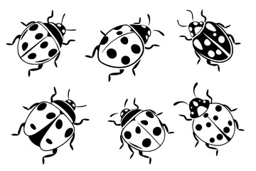Naklejka premium Empty vector file representation