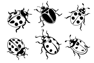 Obraz premium Placeholder image for vector file