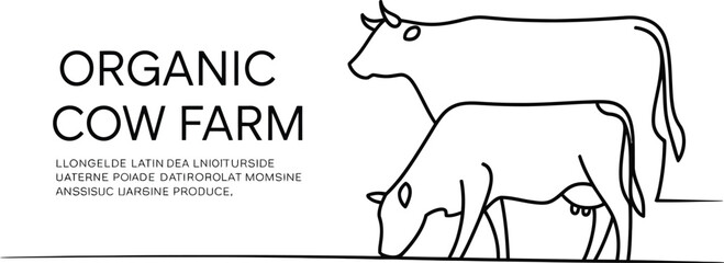 Organic cow farm line art illustration - two cows Vector