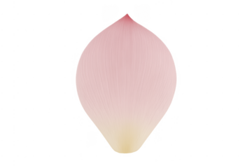 Pink lotus petal isolated with transparent background