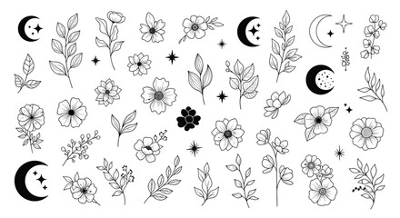 A large celestial and botanical collection of hand-drawn doodle elements featuring flowers leaves moons and stars for magical designs.