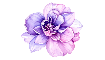 Watercolor rendering of a layered flower in shades of purple, pink, and white on black