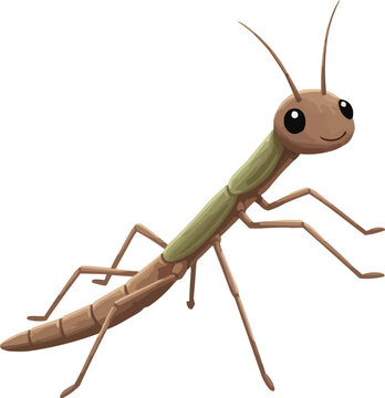 Kerala Forest Stick Insect