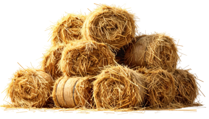 A pile of round bales of hay, golden in color, stacked atop one another