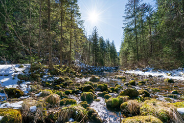 Water stream at Dolina Koscielicka valley. Polish west Tatry mountains in winter