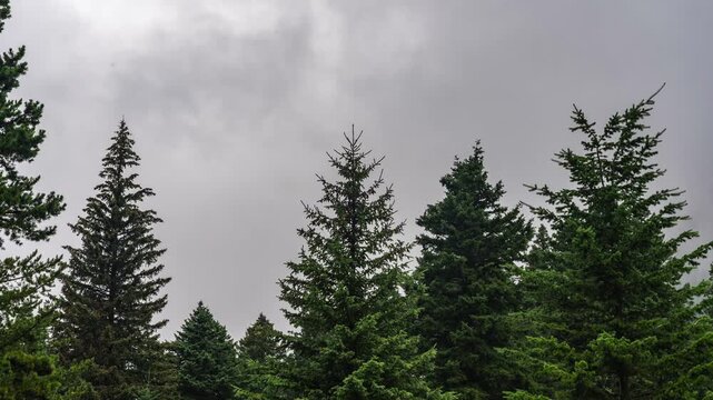 Clouds wrapped around mountain peak timelapse 