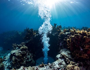 Underwater view of bubbles rising towards sunlight through marine life