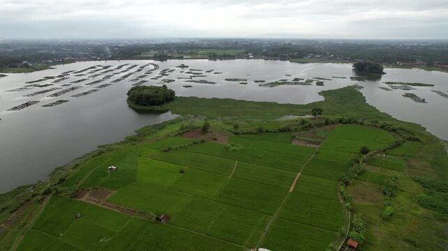 Scenic View of Cengklik Dam Covered by Green Water Hyacinths