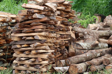 Trees cut down and stacked as firewood, dried logs prepared for burning, showing traditional use of...