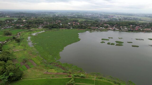 Scenic View of Cengklik Dam Covered by Green Water Hyacinths