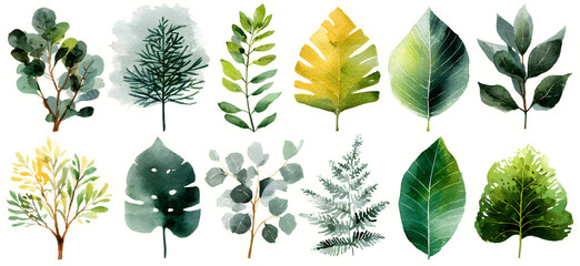 Set watercolor herbal elements. collection garden leaves, branches, Botanic illustration isolated on white background.