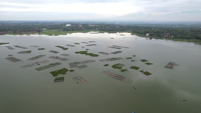 Scenic View of Cengklik Dam Covered by Green Water Hyacinths