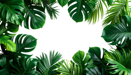 Lush green tropical leaves frame a black background, creating a natural border