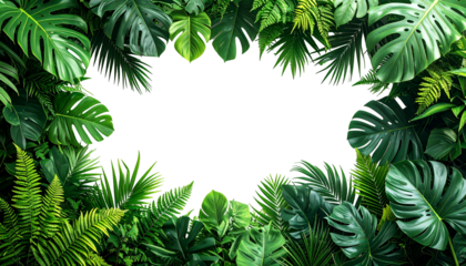 Lush green tropical foliage frames a void, simulating a window or opening