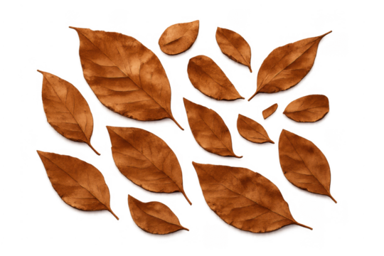 Scattered brown autumn leaves with natural texture - Powered by Adobe