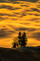 Sonnenaufgang Turnauer Hochanger - Hochschwab - Hochsteiermark - &Ouml;sterreich - Alpen - Nebelmeer - Hochnebel - Morgenrot