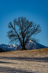 Tonion - Hochsteiermark - M&uuml;rzsteger Alpen - Mariazell - &Ouml;sterreich