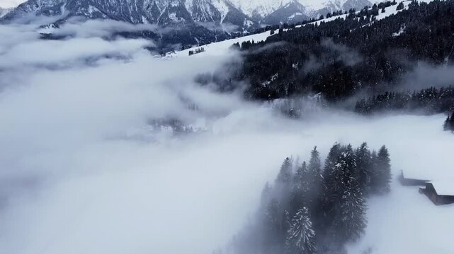 A cold morning mist veils the snow covered mountains and frost-dusted forest reflecting across a frozen winter lake in this panoramic alpine landscape view