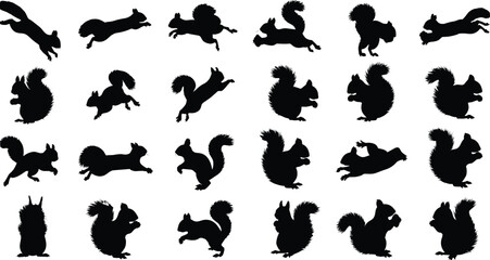 Collection of black squirrel silhouettes in various poses and actions © MdTofazzal
