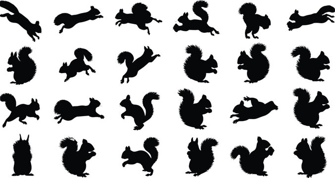 Collection of black squirrel silhouettes in various poses and actions