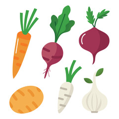 Collection of colorful root vegetables flat illustrations, organic farm produce including carrot, beet, potato and garlic, fresh healthy food icons isolated on white background