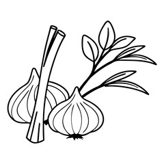 Black and white line art illustration of garlic and herbs, hand drawn sketch of organic kitchen ingredients like garlic bulbs and leek for culinary design