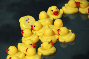 Yellow floating rubber ducks for a fishing game at a party